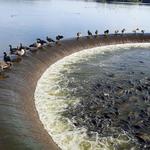 The Spillway