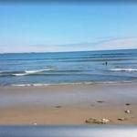 Active Coastal Exploration: Surfers Point at Seaside Park