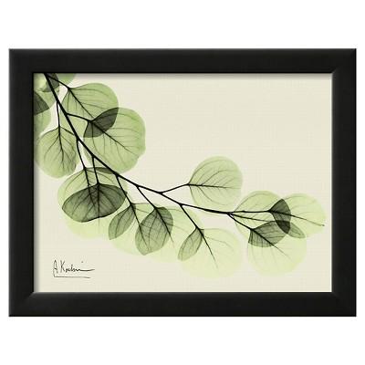 Art.com - Sage Eucalyptus Leaves II by Albert Koetsier