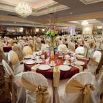 The Mayfield (Reception/Celebracion)