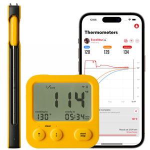 Predictive Thermometer