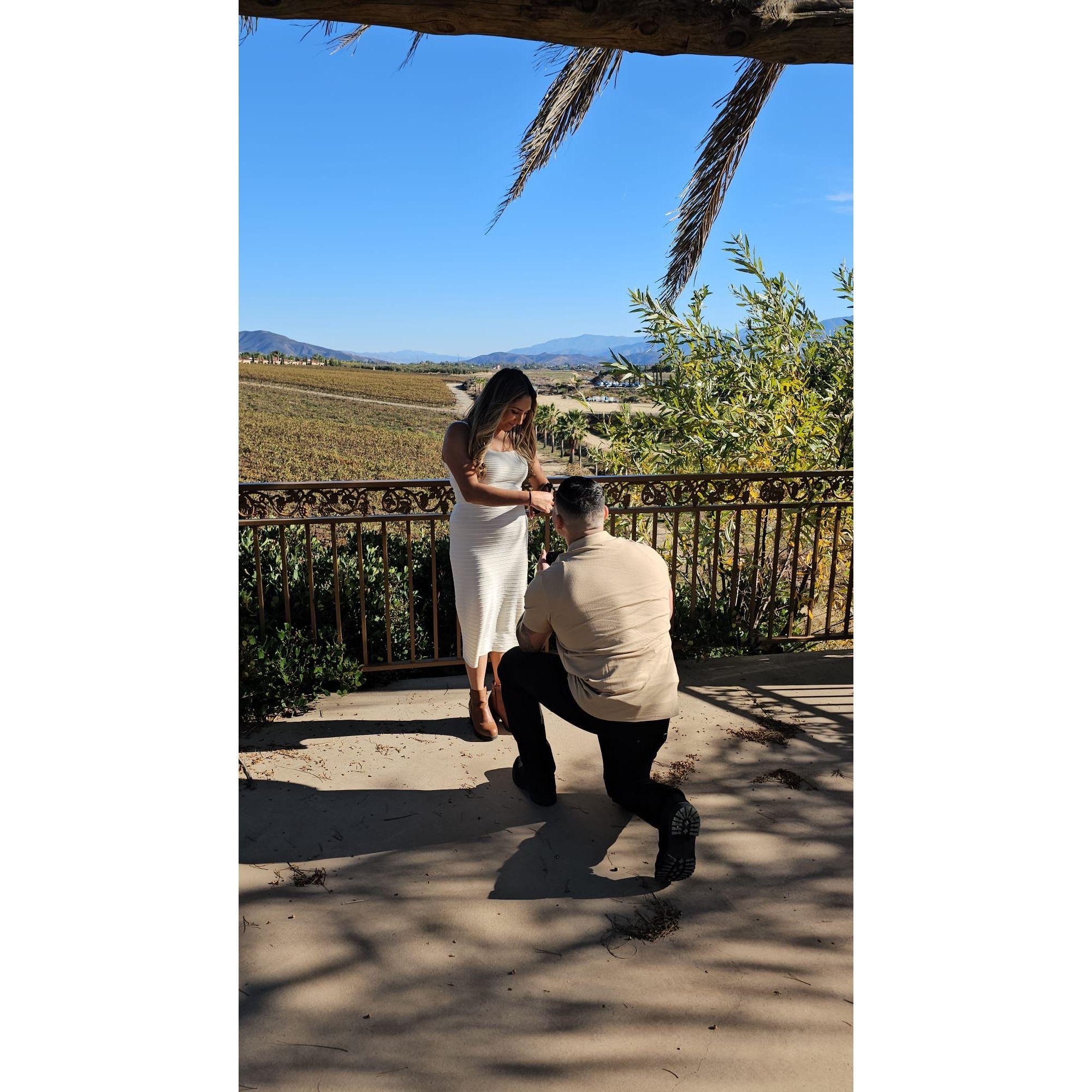 Our engagement