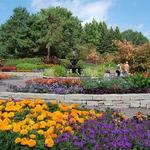 Minnesota Landscape Arboretum