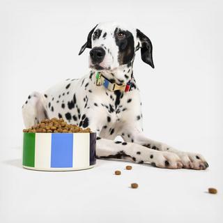 Adventure Stripe Dog Bowl