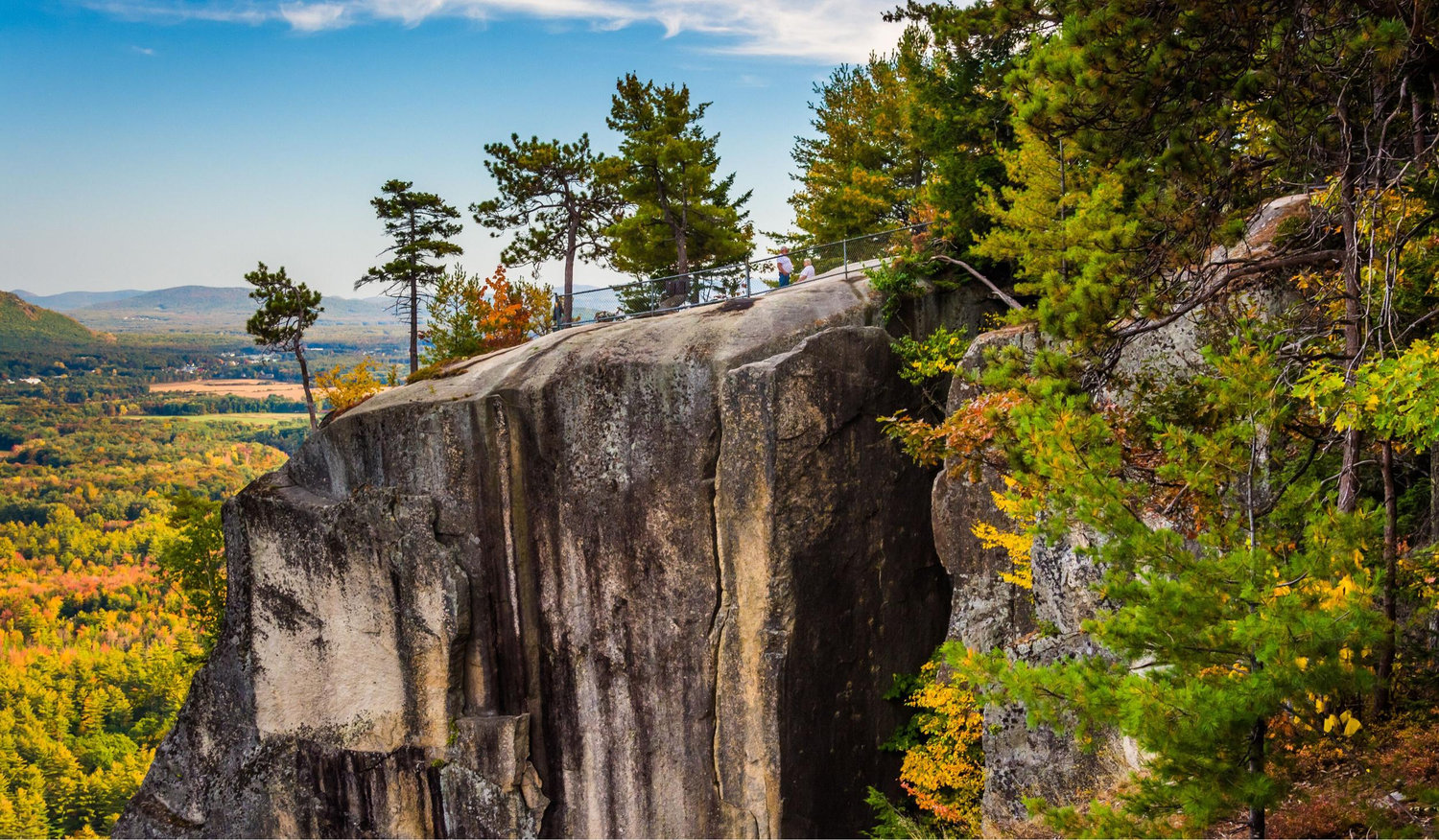 The Wedding Website of Hayley Kriebel and Brenden Brown
