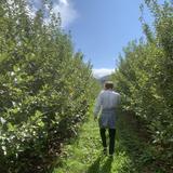 Indian Ladder Farms