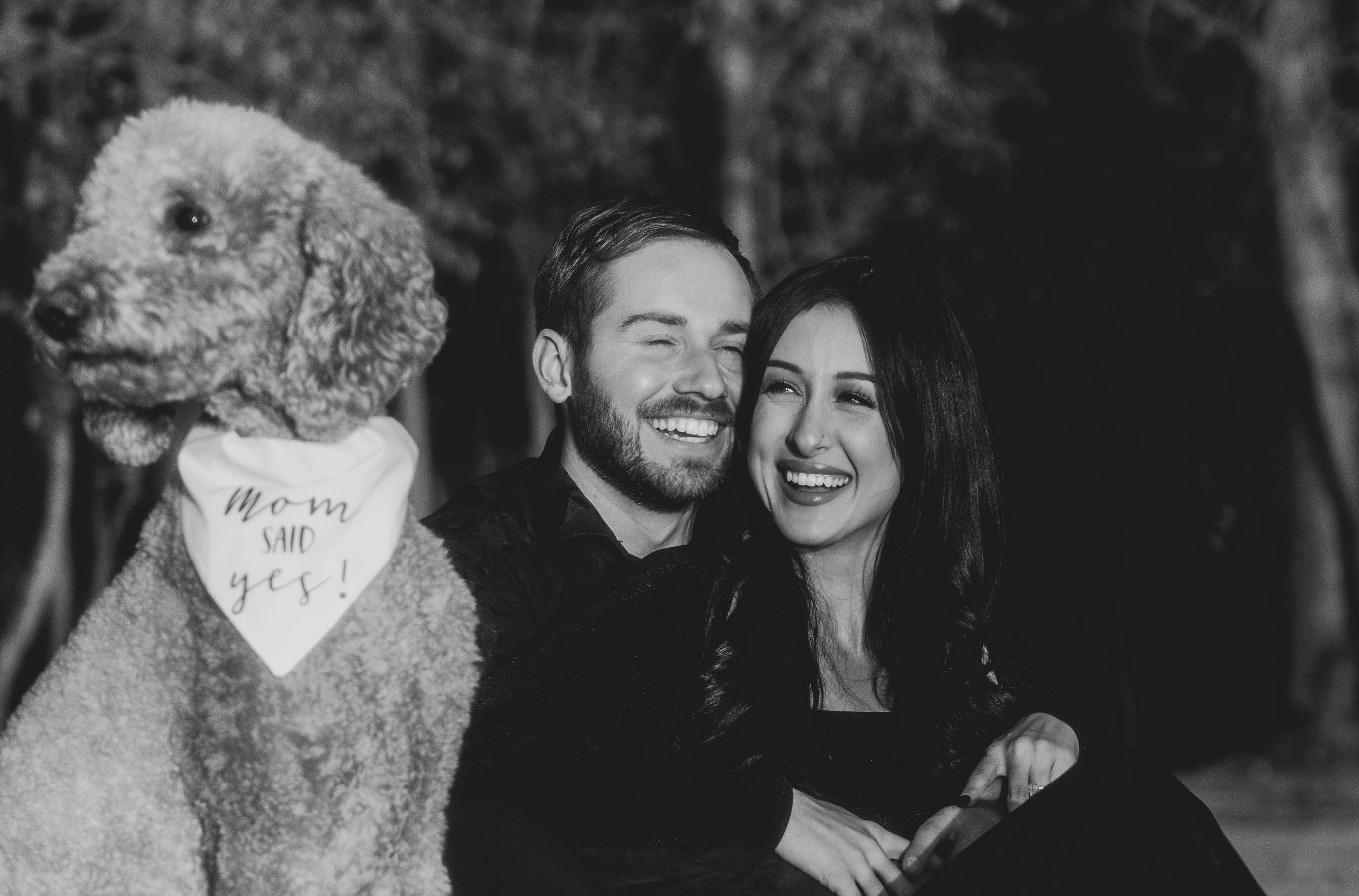 9531630f-bb3e-4a3c-b393-bb459ff72461