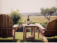 Still Waters Vineyards