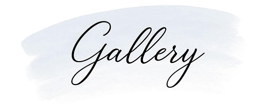 The Wedding Website of Baily Martin and Jefferson Cummings