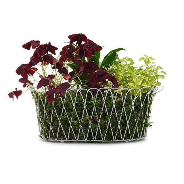 Two's Company French Wireworks Alfabia Double Planter Basket w/Antique White Finish