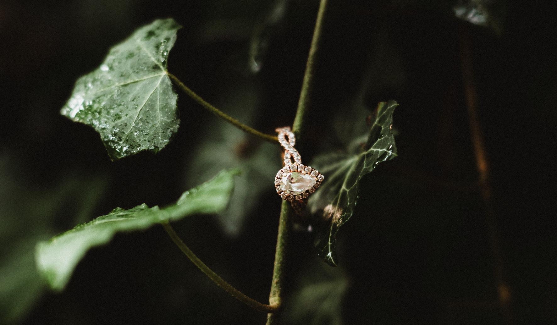 The Wedding Website of Ashton Courtois and Austin Garber