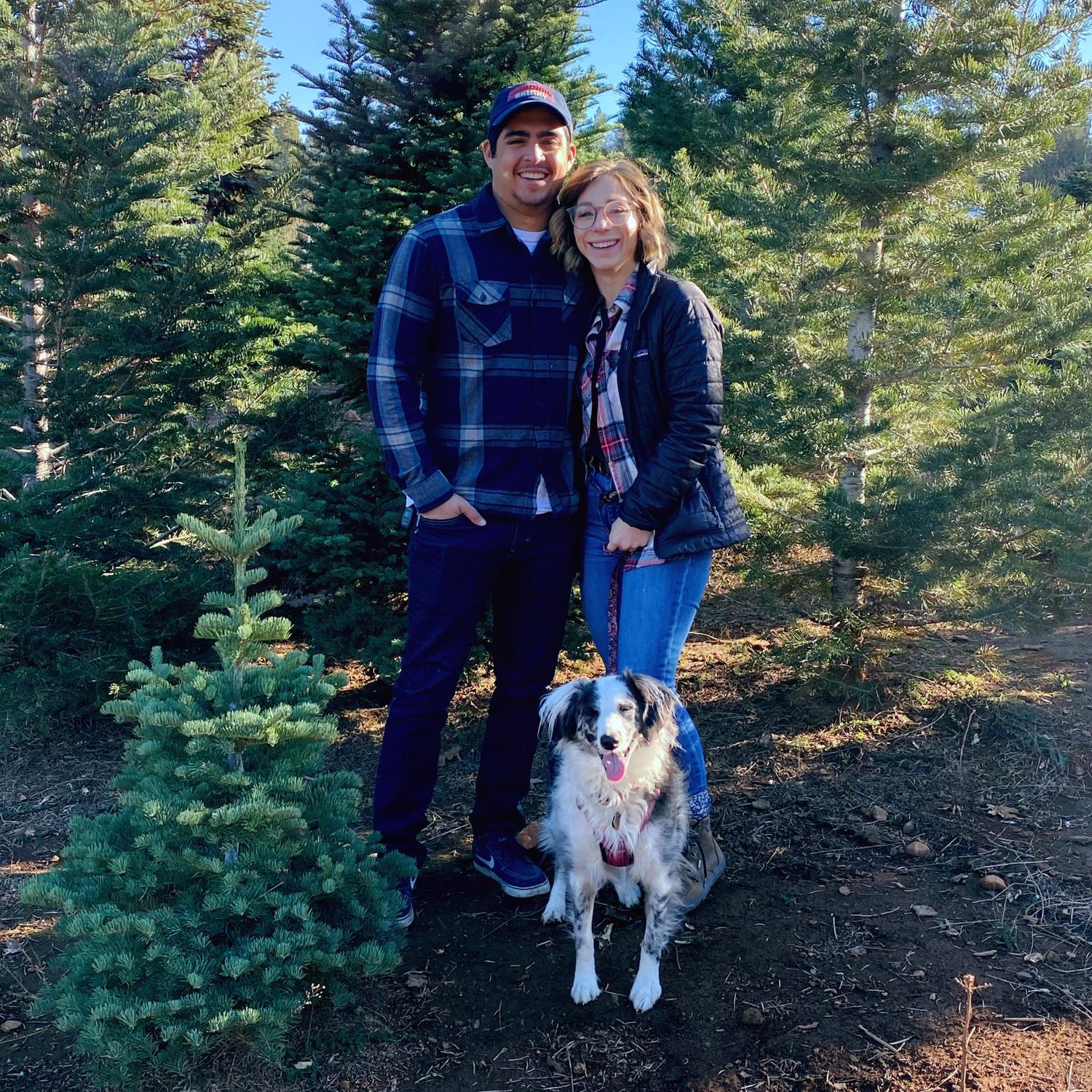 Our first Christmas Tree hunt