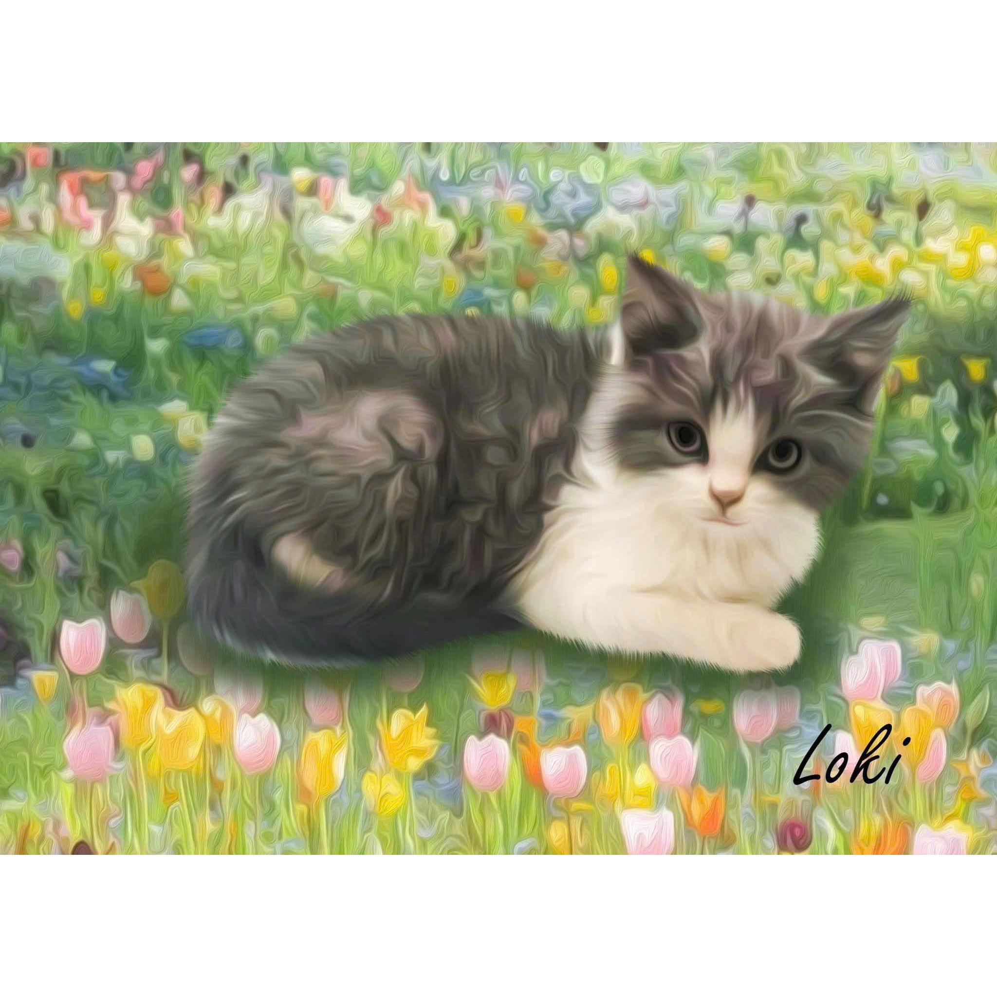 Welcoming Loki, our playful bicolor prince 🐾 — the little paw that made our home feel even warmer