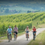 Explore Langhe Valley by Bike
