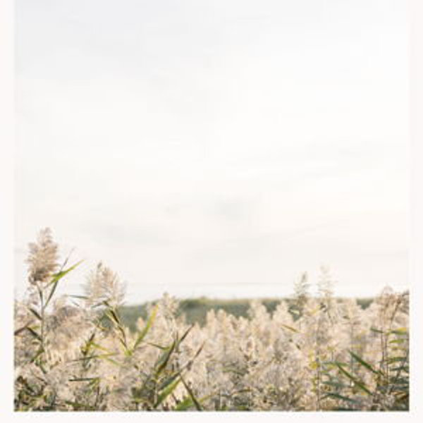 Framed & Matted Print - Colleen Anne Lennehan Photography