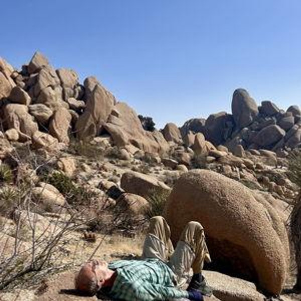 Desert Irrigation - Are you feeling thirsty?