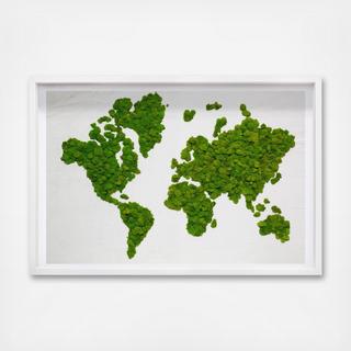 Moss Mapamundi Framed Live Art
