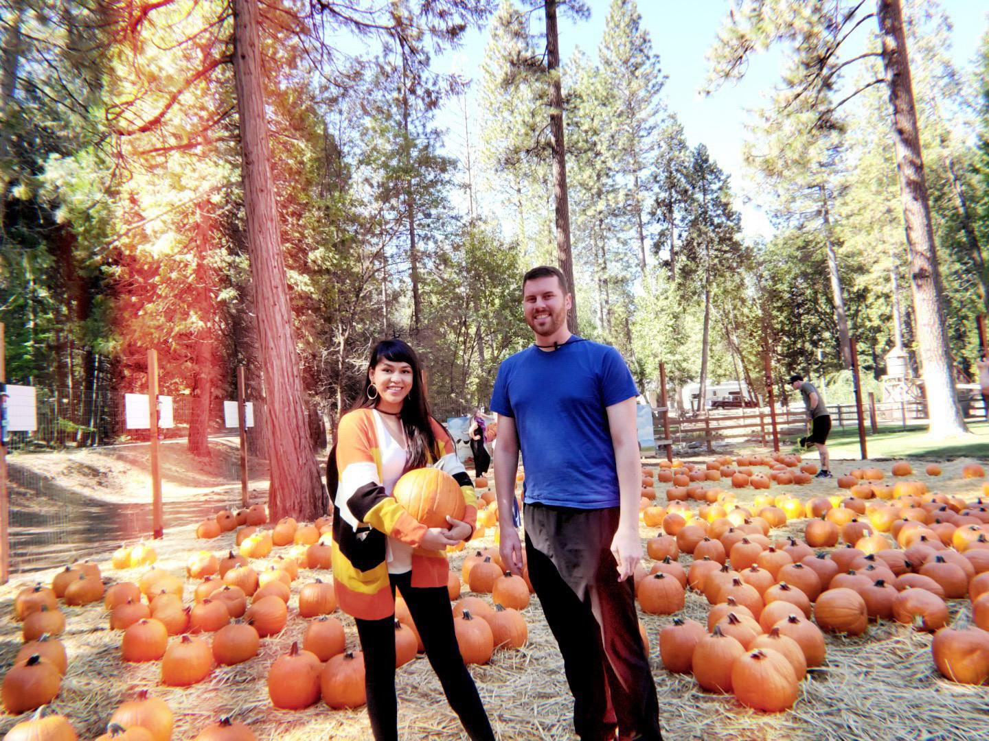 Pumpkin patch 2019
