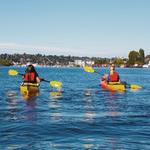 Kayak Lake Union