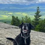 Stowe Pinnacle via Pinnacle Meadows Trail