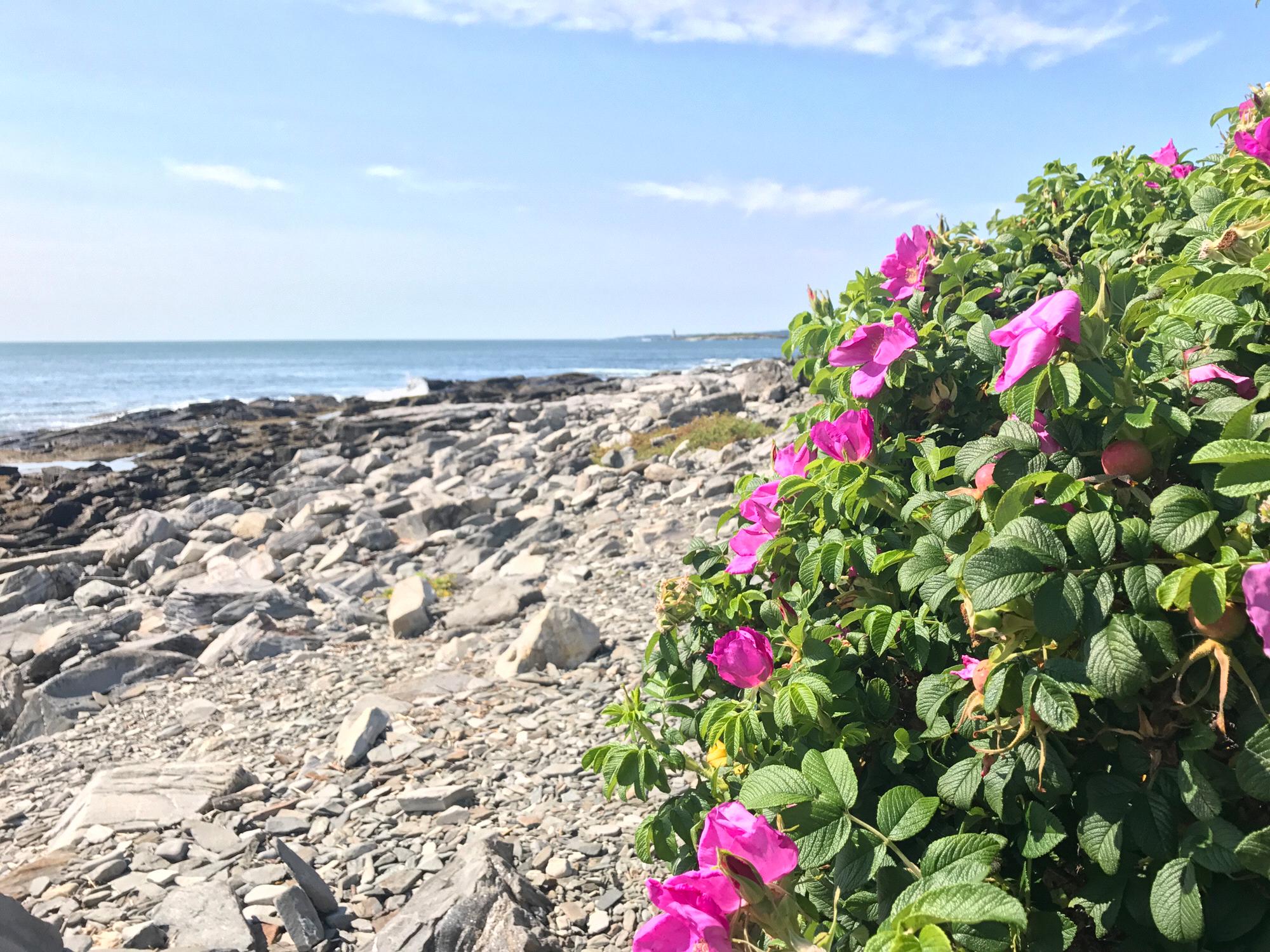 Peaks Island, ME