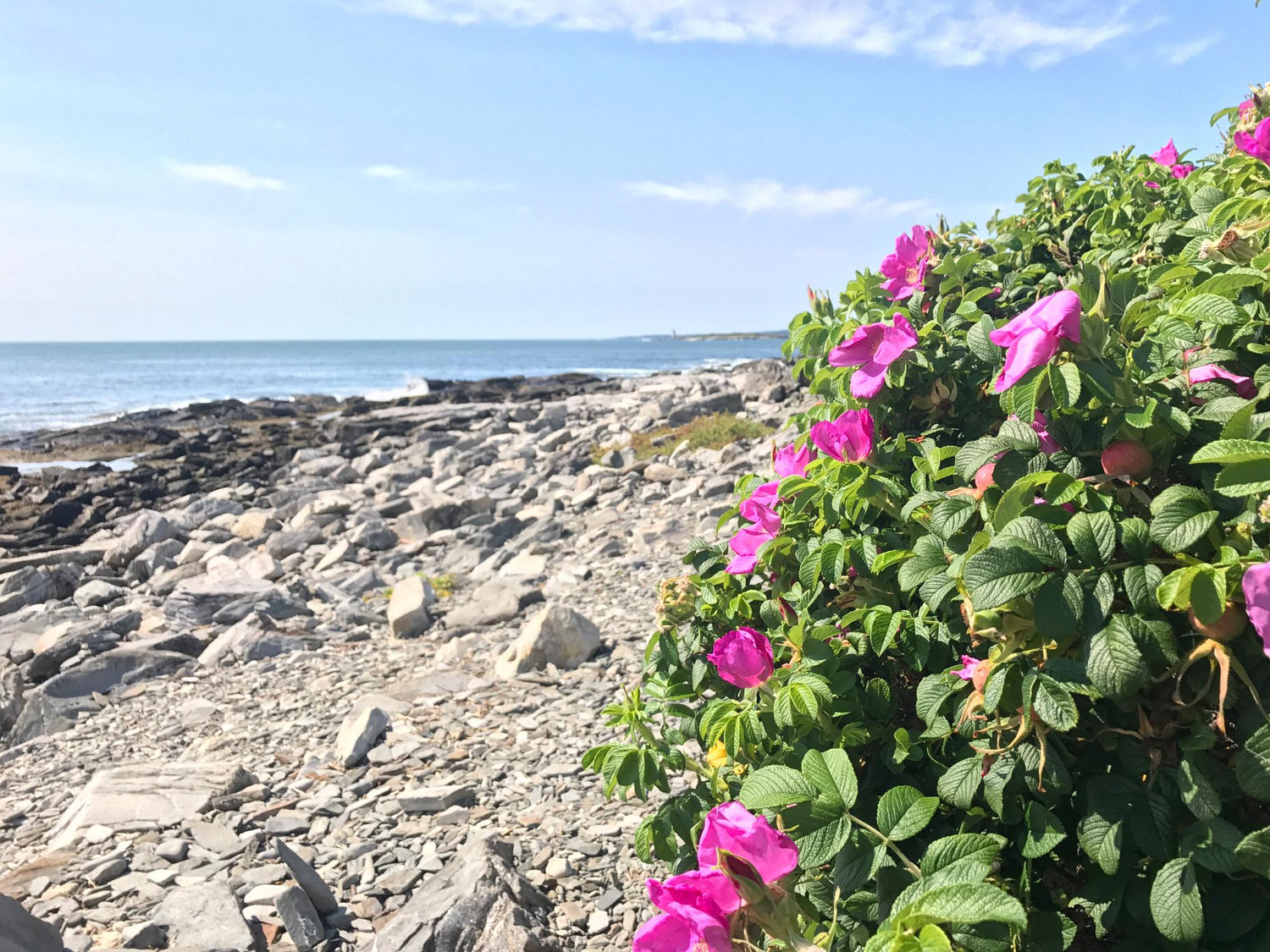 Peaks Island, ME