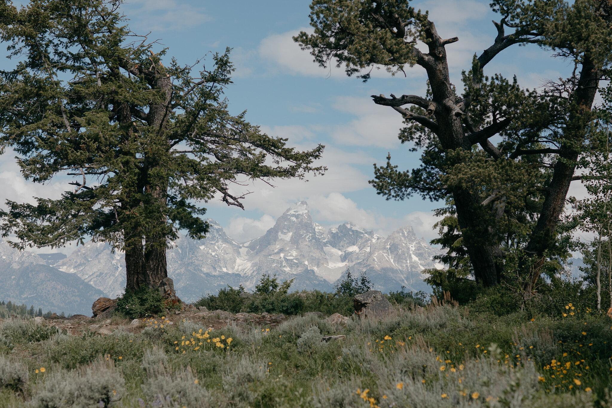 The Wedding Website of Amanda Kubick and Benjamin Felter