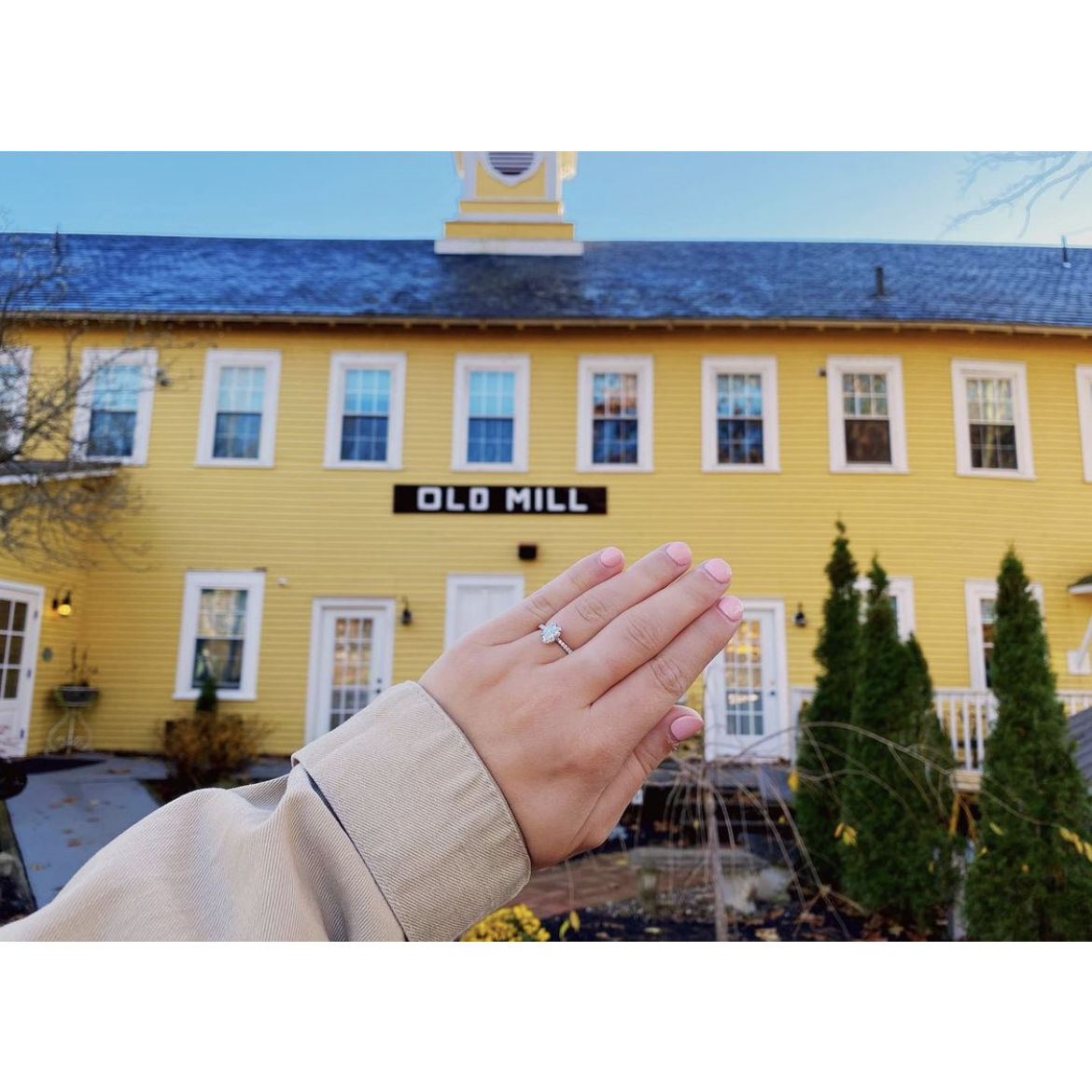Allea's ring!