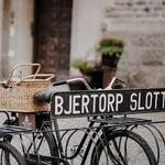 Rent one of the bikes and explore