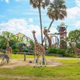 Busch Gardens Tampa Bay