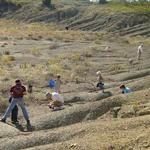 Mineral Wells Fossil Park