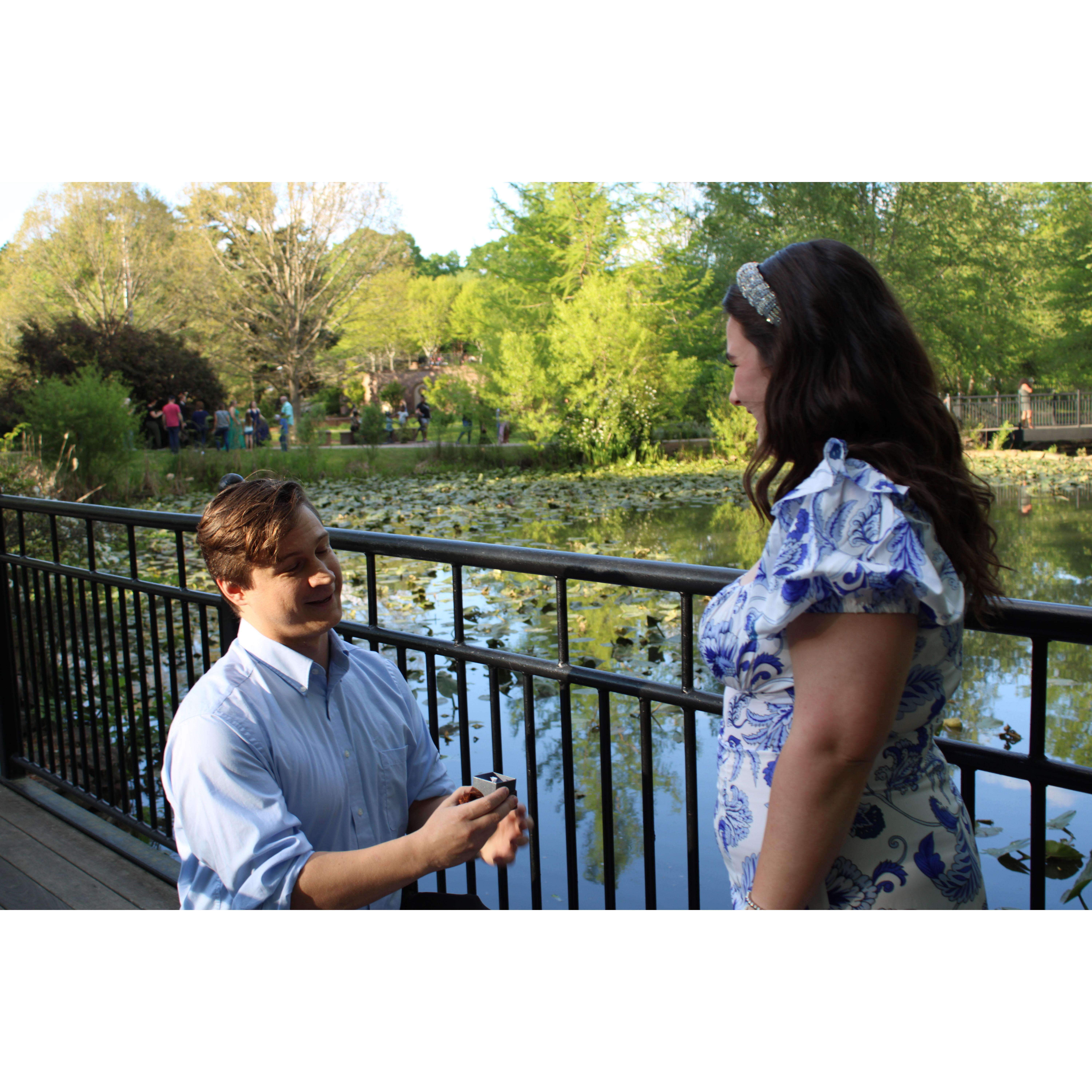 On April 15th, 2023 (yes, tax day!) Dustin surprised Piper by proposing during her college graduation pictures. Of course, she said YES!
