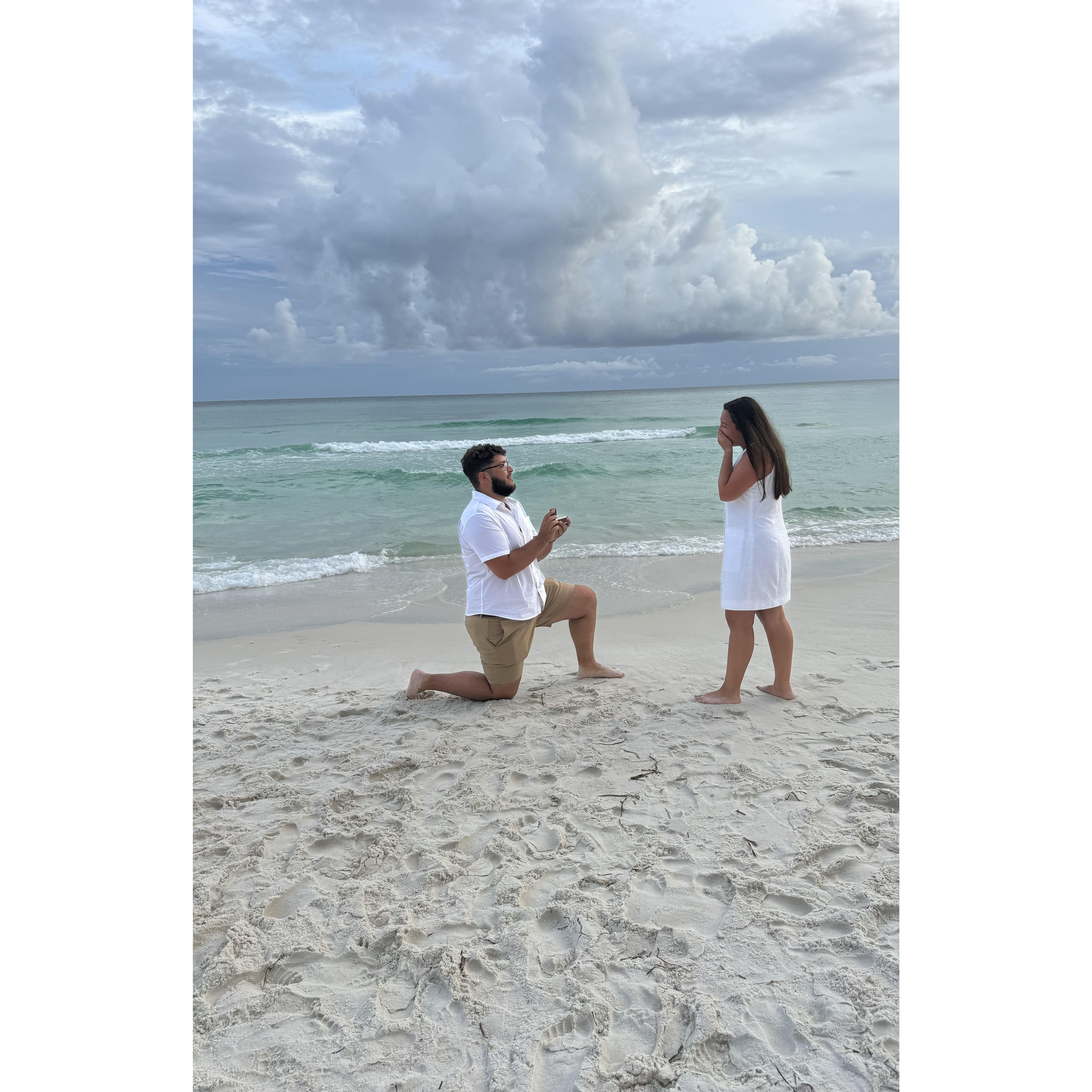 The proposal