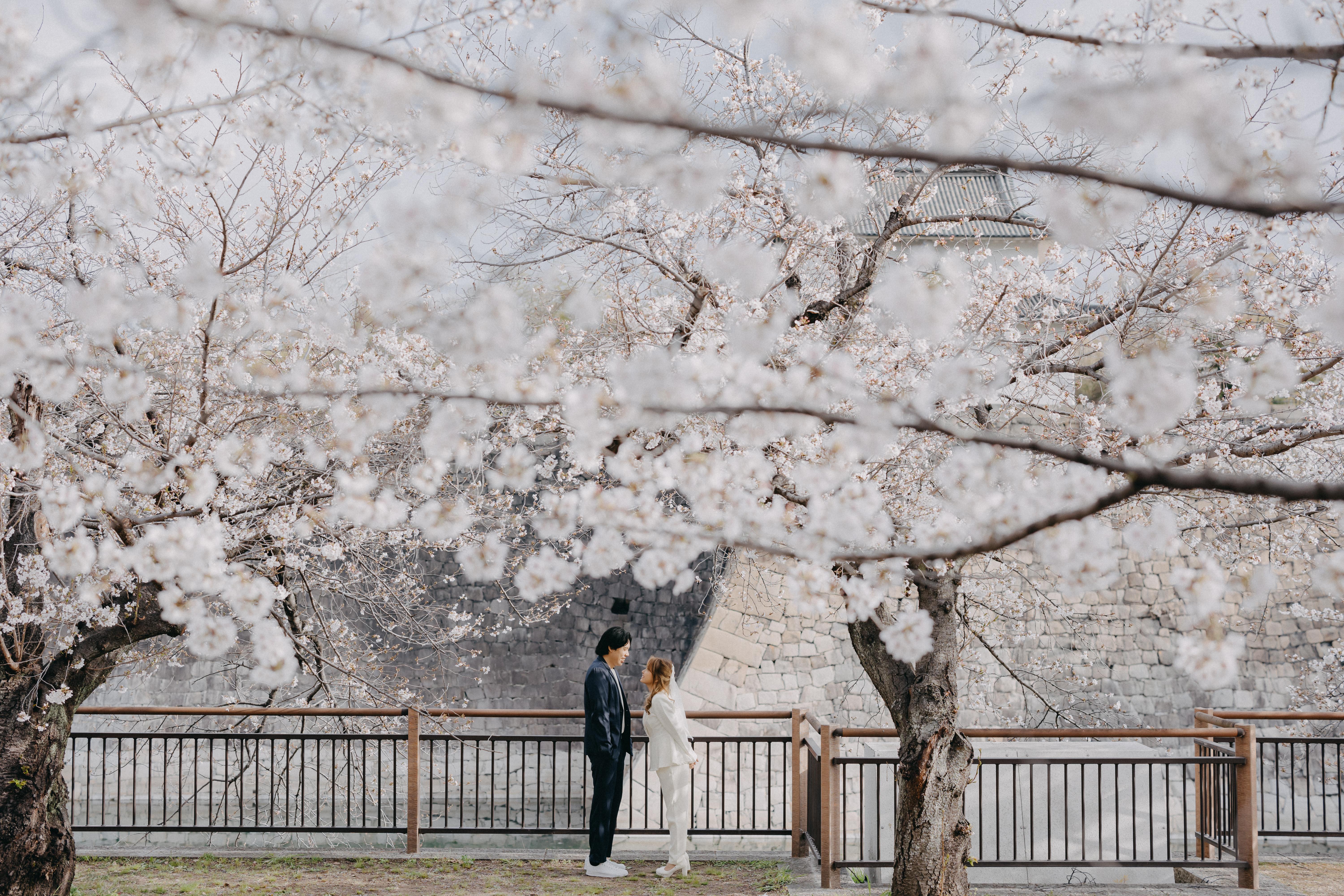 The Wedding Website of Clark Abalos and Paul Uy