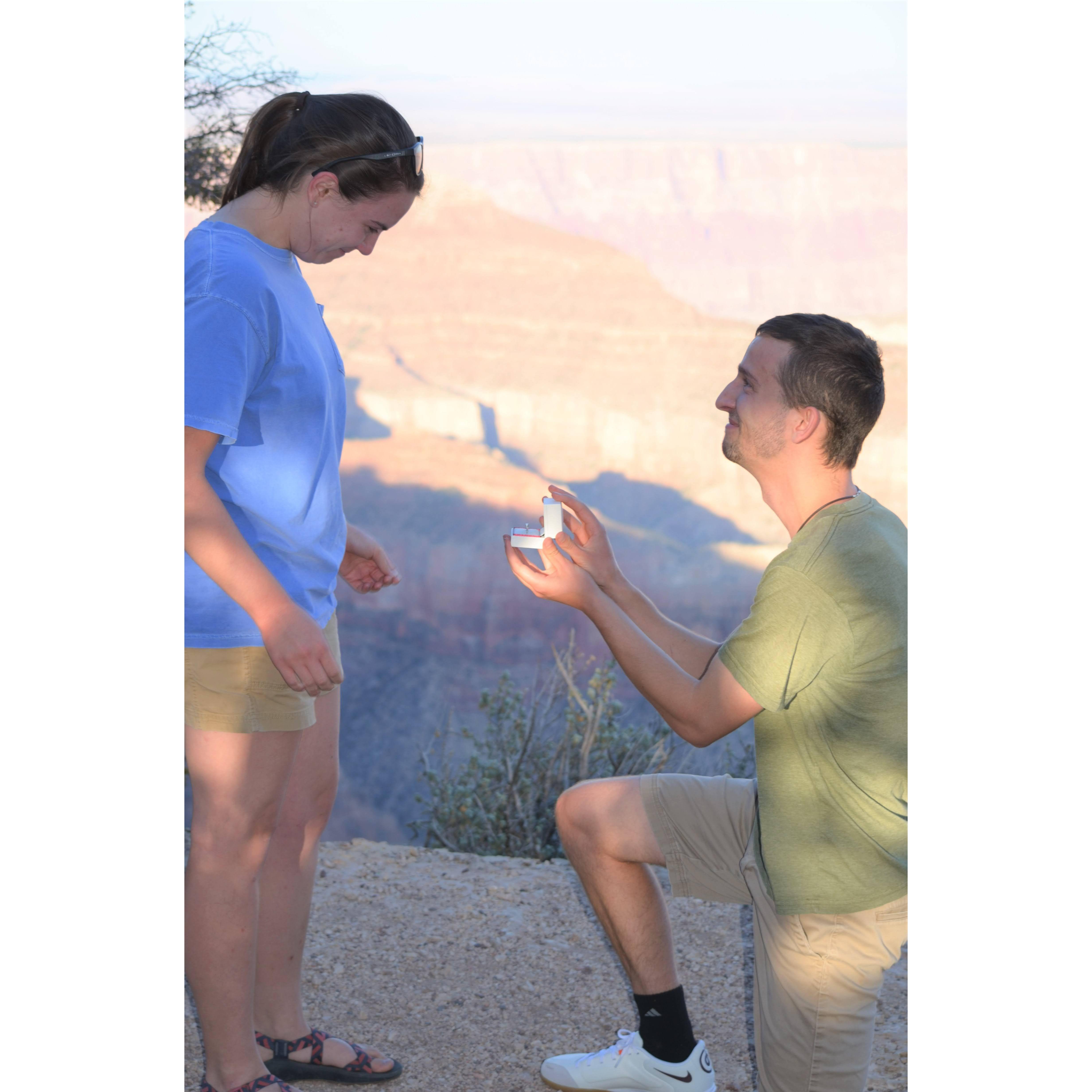The Engagement!