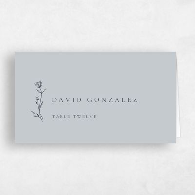 Vintage Blue Wedding Place Card - Brantley
