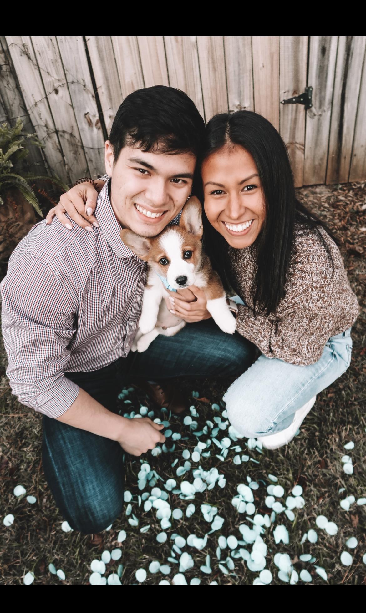 In Nov 2021 we decided to add a little member to our family - Fury 💗