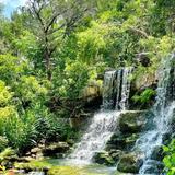 Zilker Botanical Garden