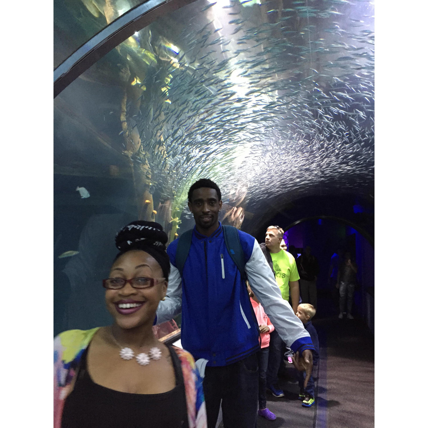 Under the Sea!
        2015