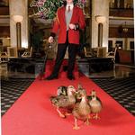 Peabody duck parade at Peabody hotel