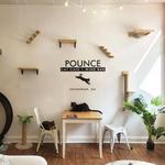 Pounce Cat Cafe