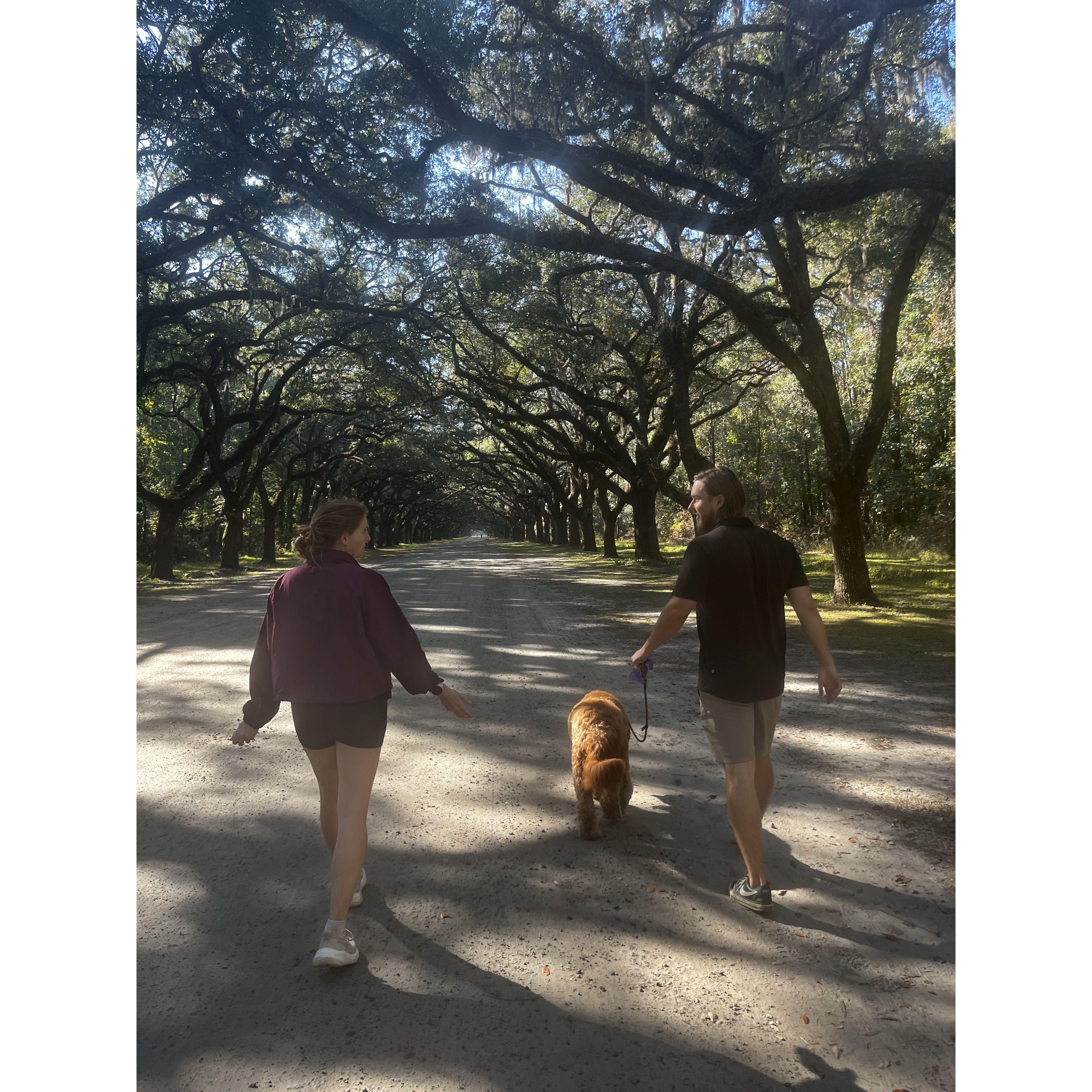 Visiting Addy, Jeb, and their dog Shplam-bodam-clamson, in Savannah