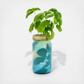 Herb Garden Jar Kit