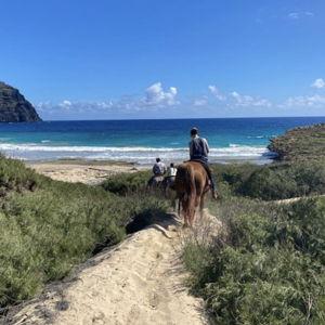 Ocean Trail Ride Excursion- Honeymoon