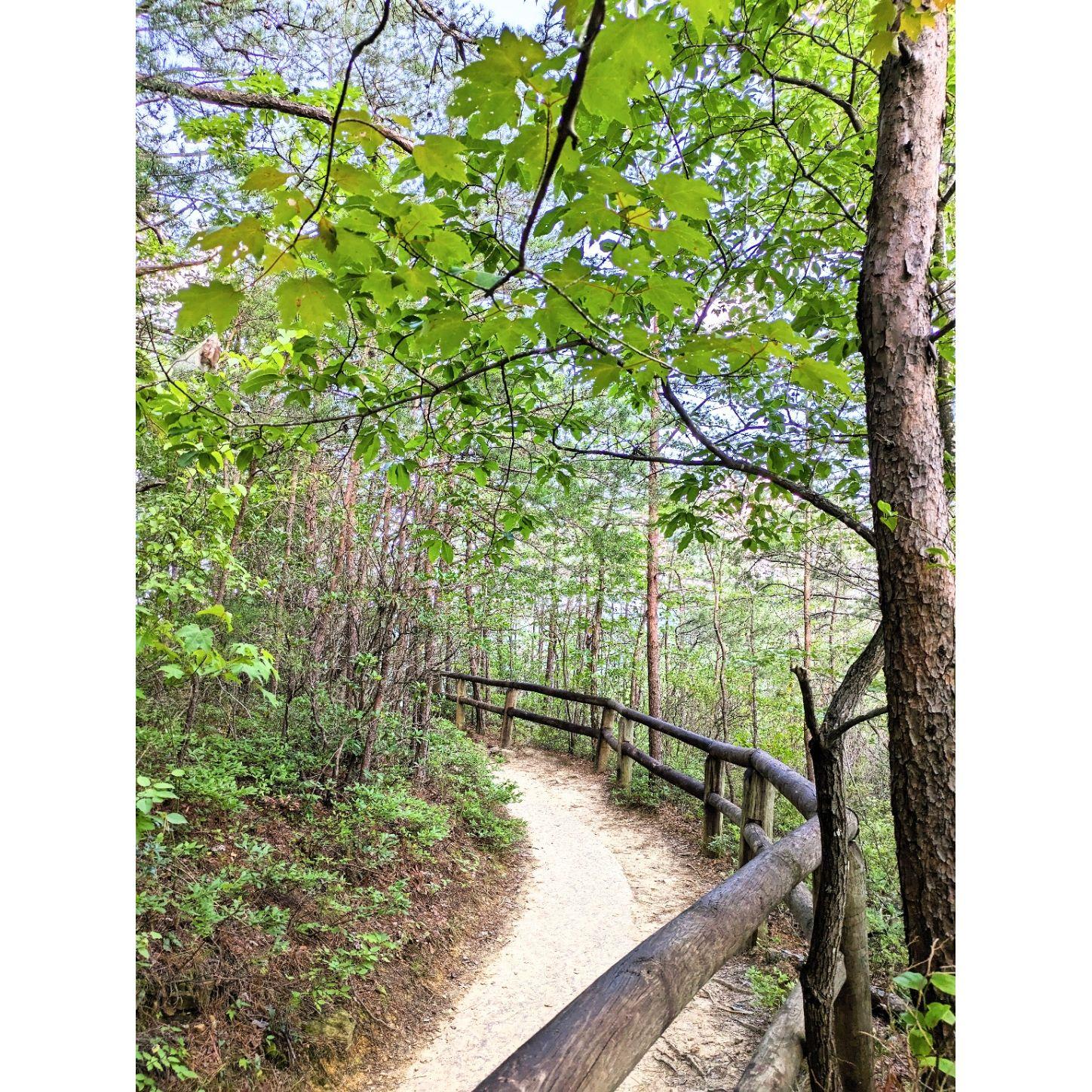 Here's the trail to the ceremony site