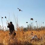 Prairie Wildlife