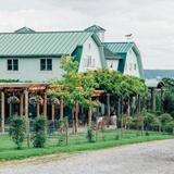 Fox Run Vineyards