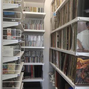 Elfa shelves vinyl storage fund