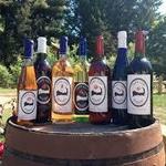 Cape Cod Winery