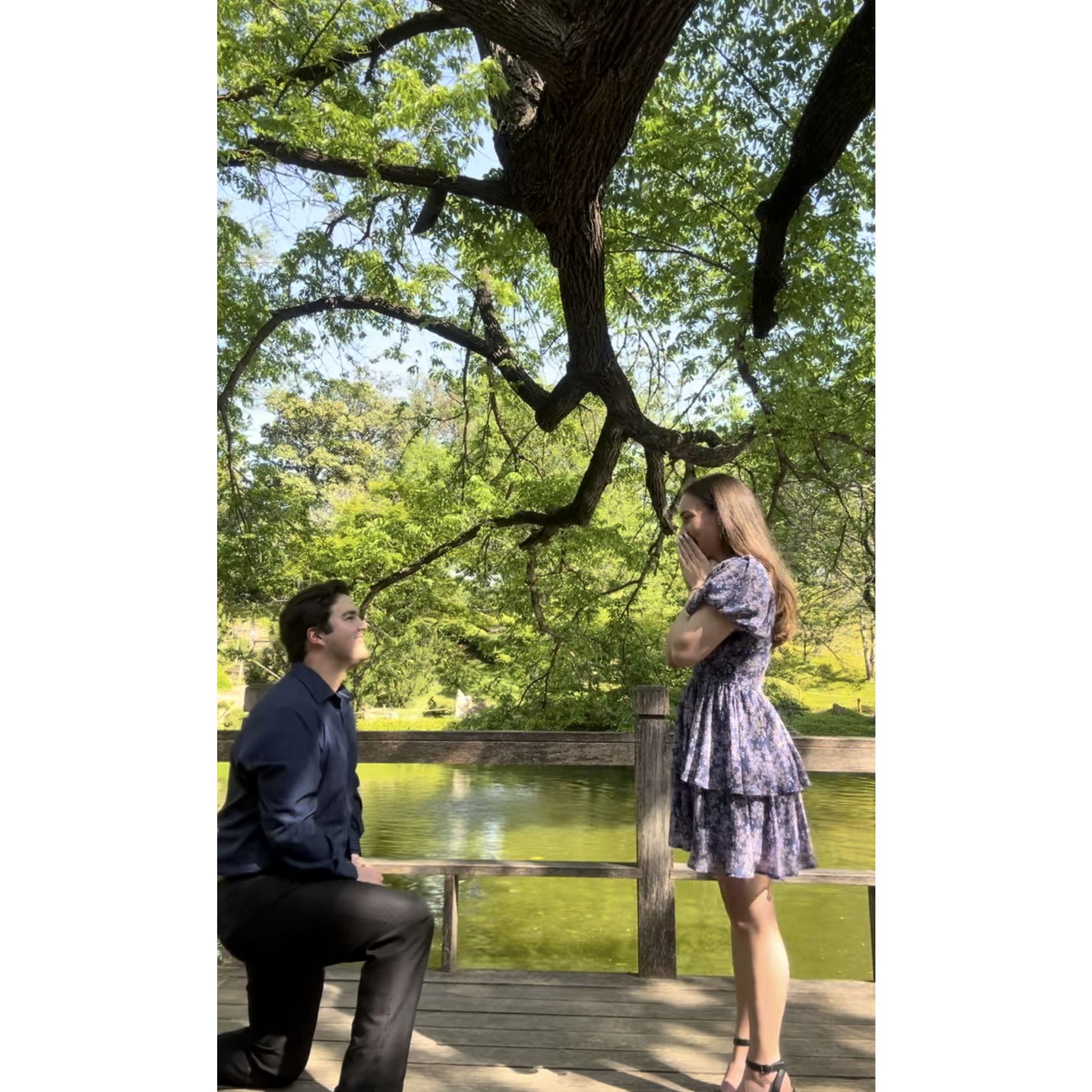 Saying "yes" to our forever.